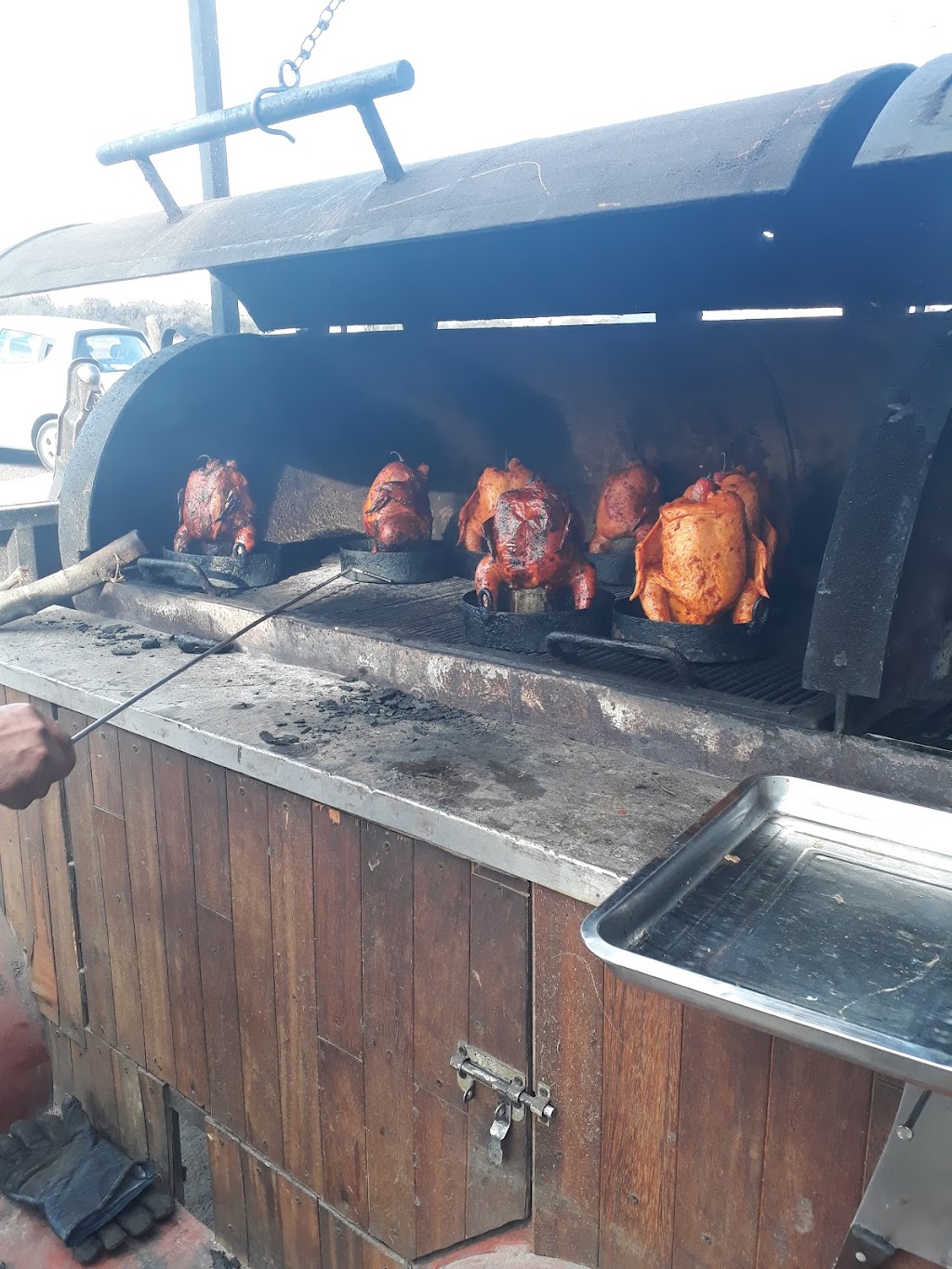 Pollos Violados Saucito