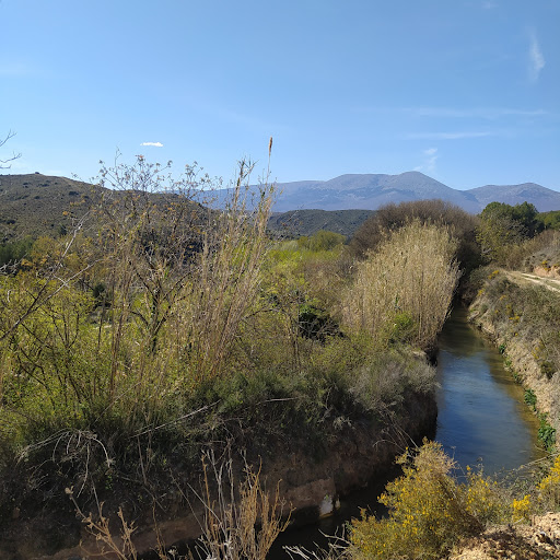 Titorra