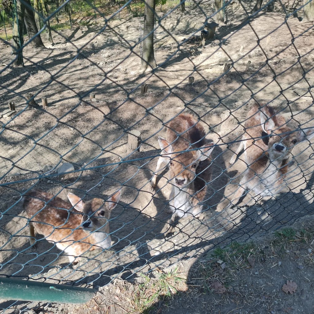 Oasi degli Animali