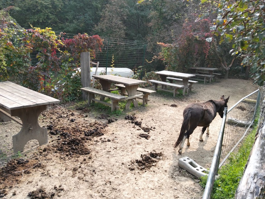 Oasi degli Animali