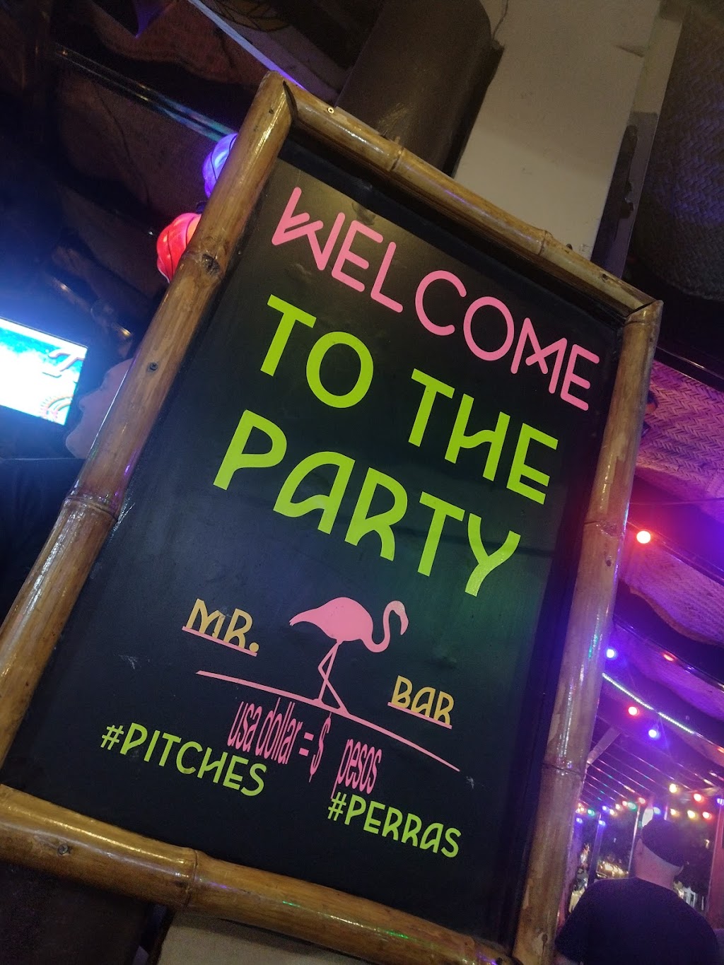 Bar Flamingos