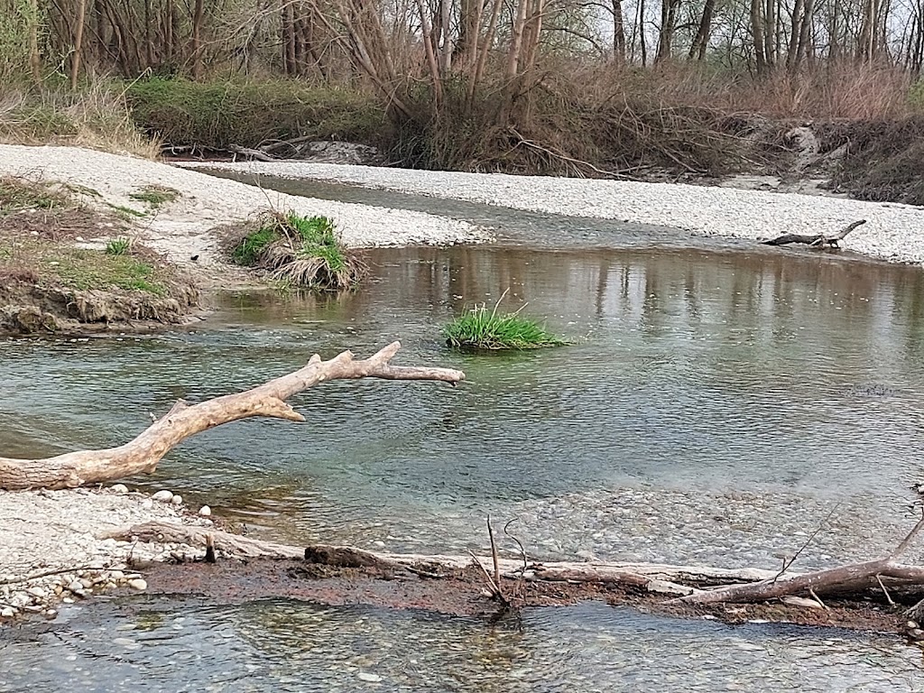 Il Grillo Verde