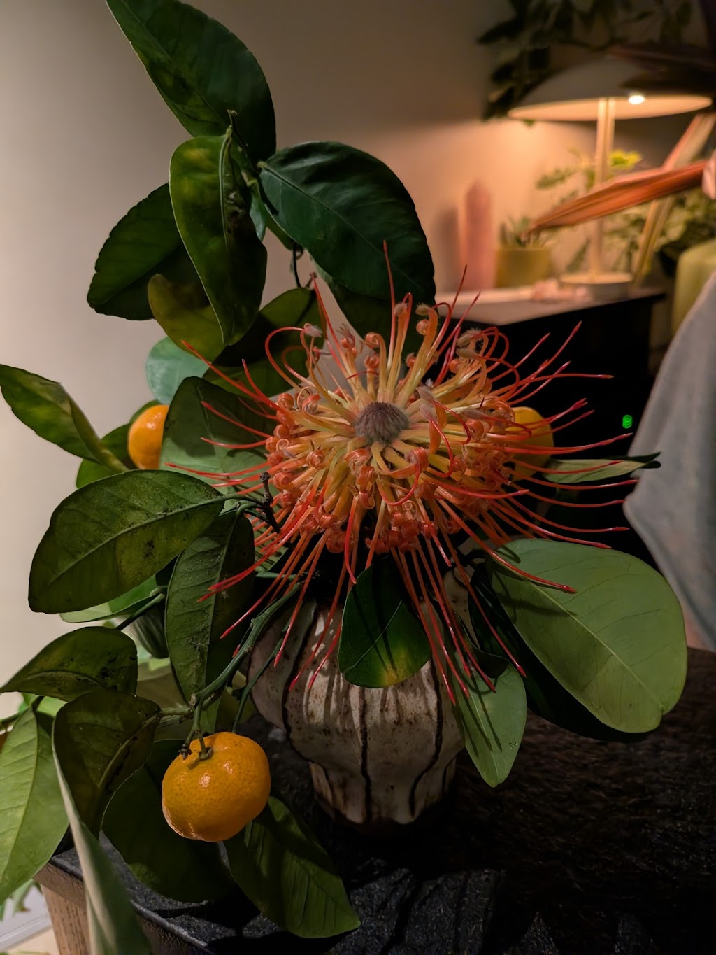 Mister Jiu's