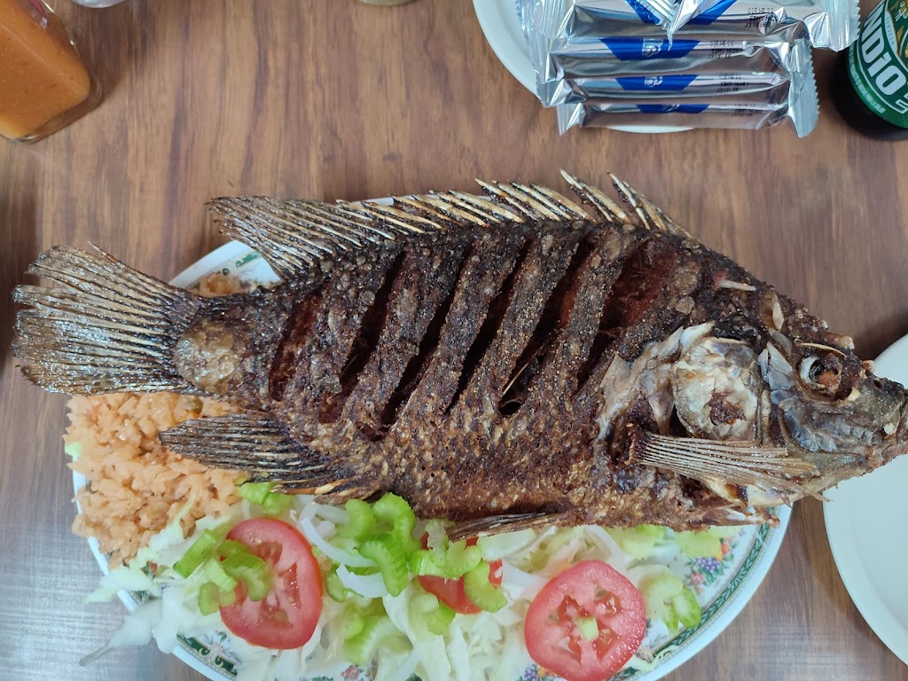 El Tiburón De sur a Norte