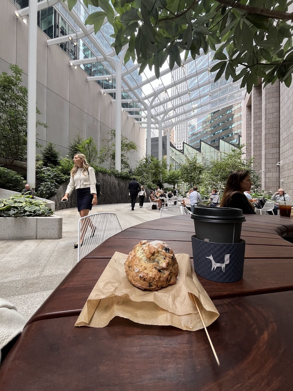 Black Fox Coffee, Central Park South, NY