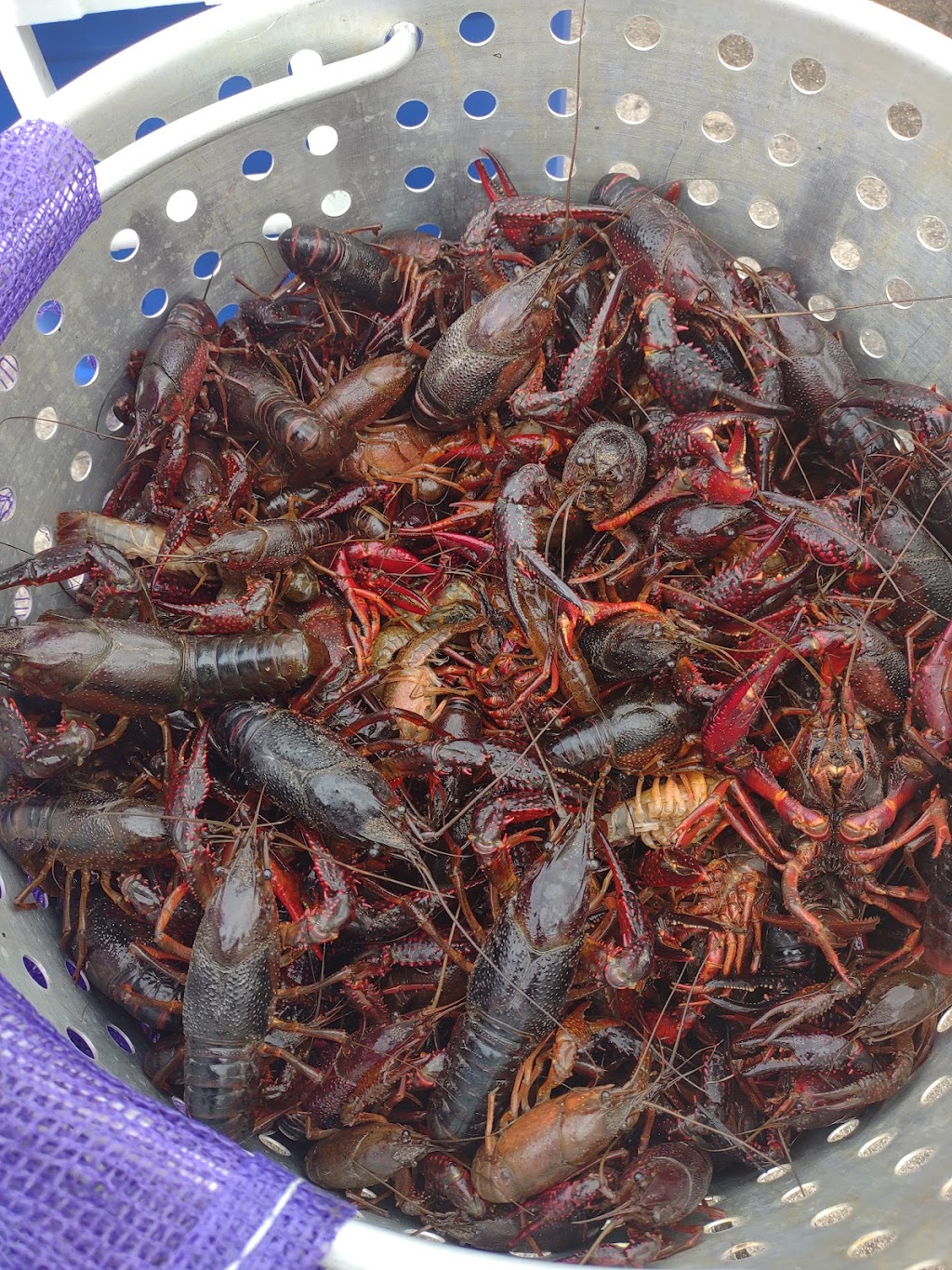 Paige Seafood