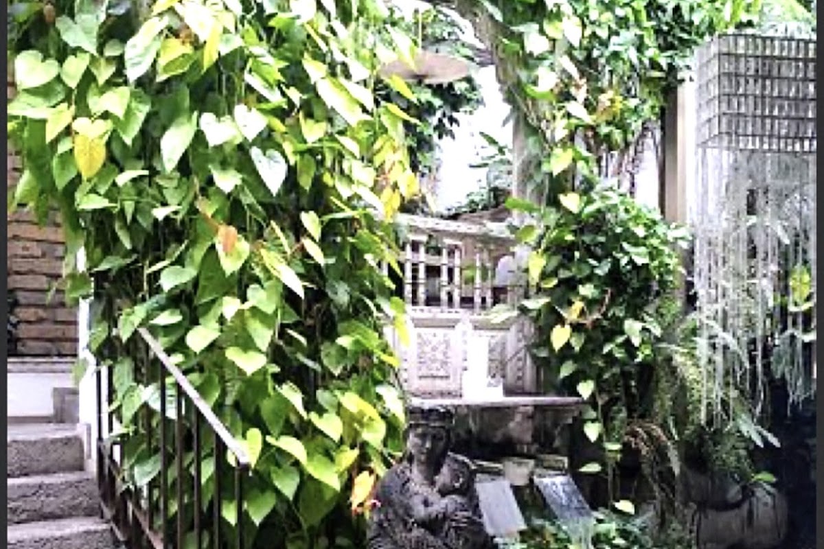 Antigua Contemporanea