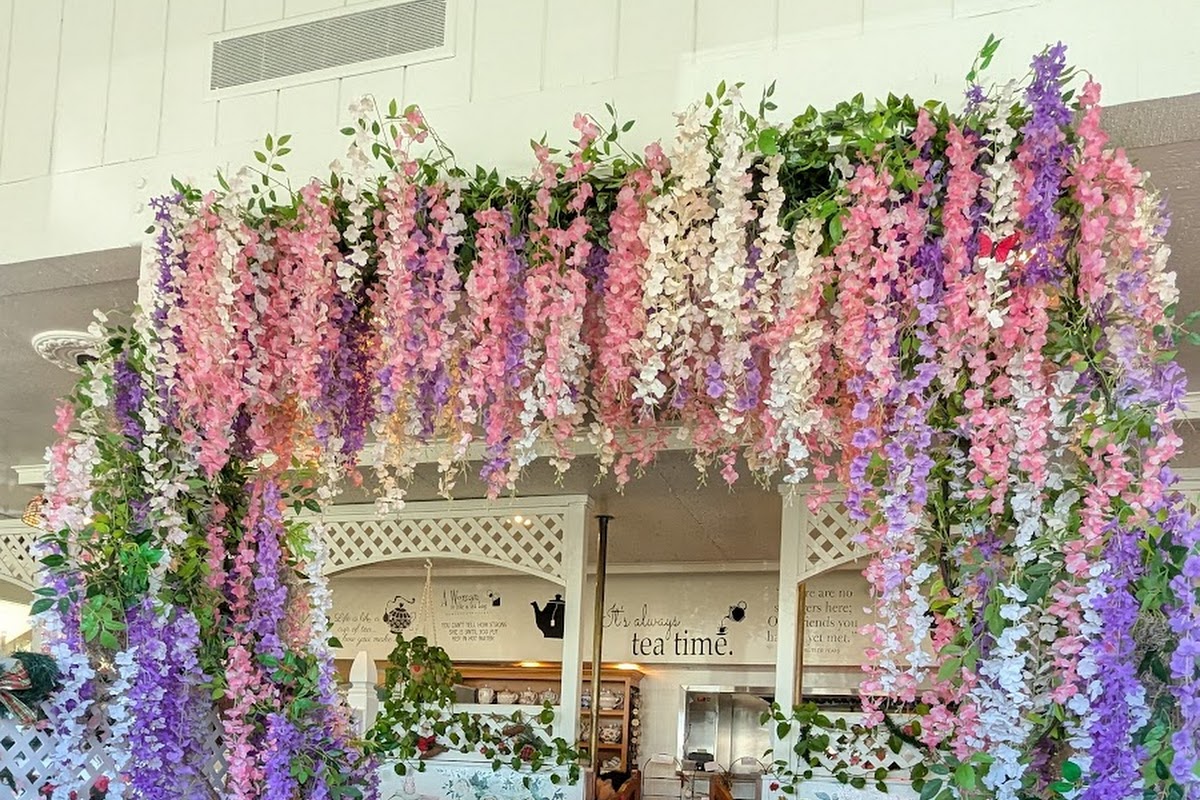 Wellspring Tea Room