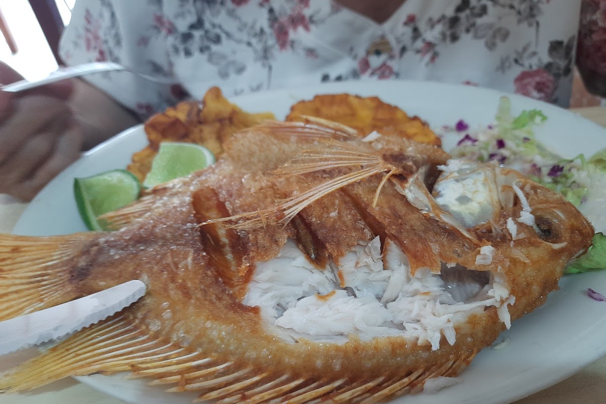 Carnes Yuyis