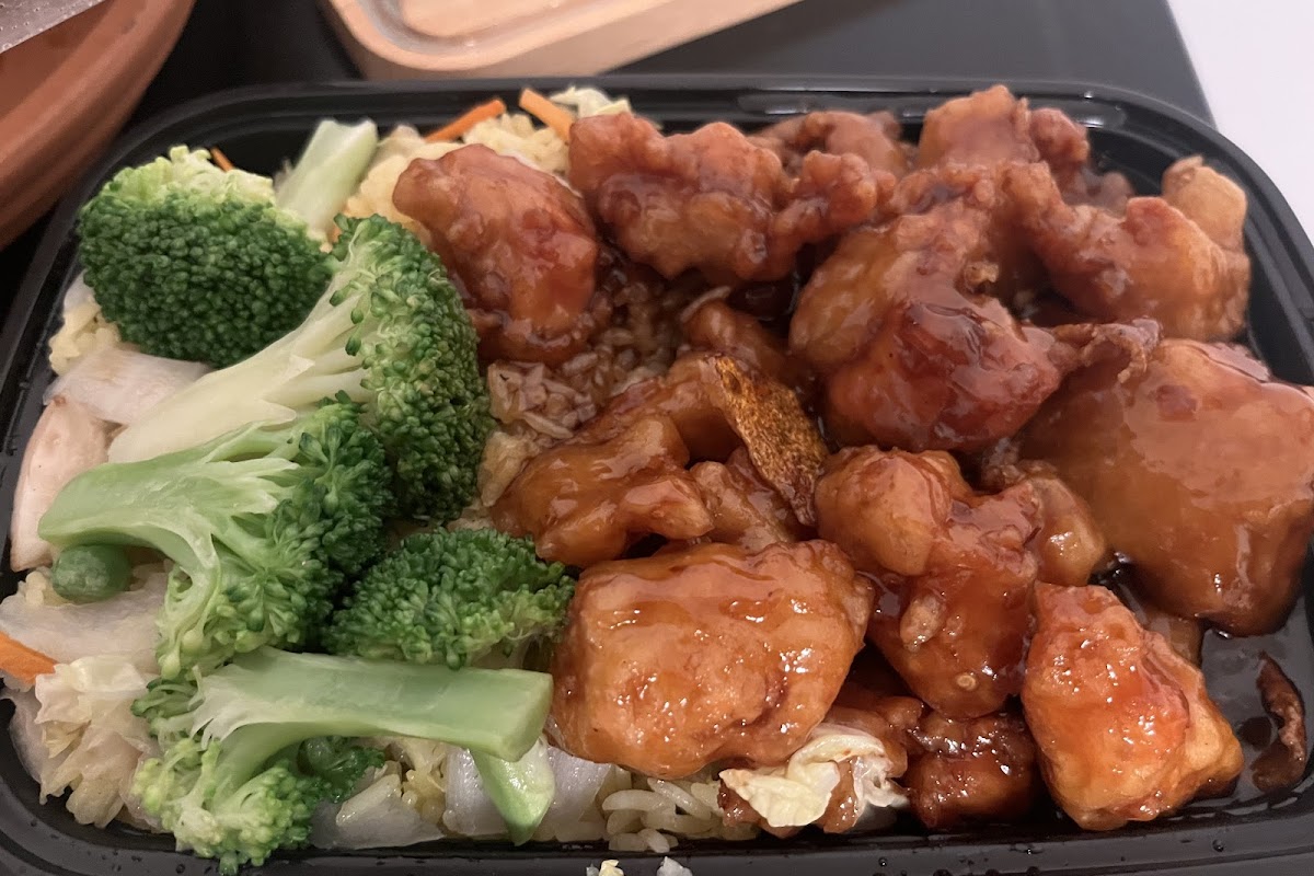 Ditmars Dragon Phoenix