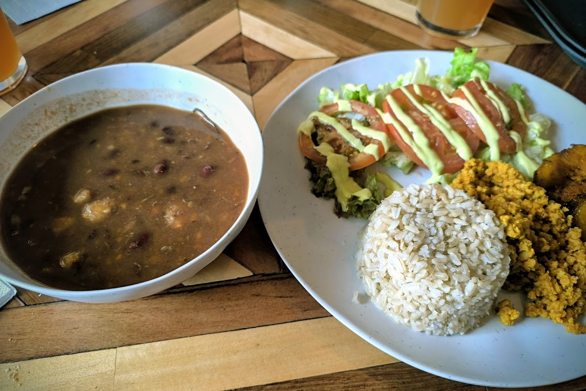 Herbívoro Cocina Vegana