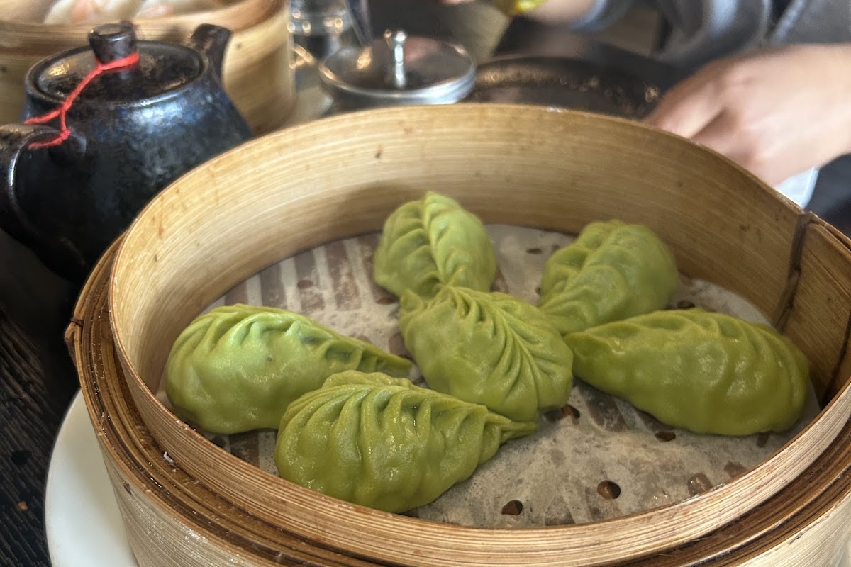 Dumpling Zone