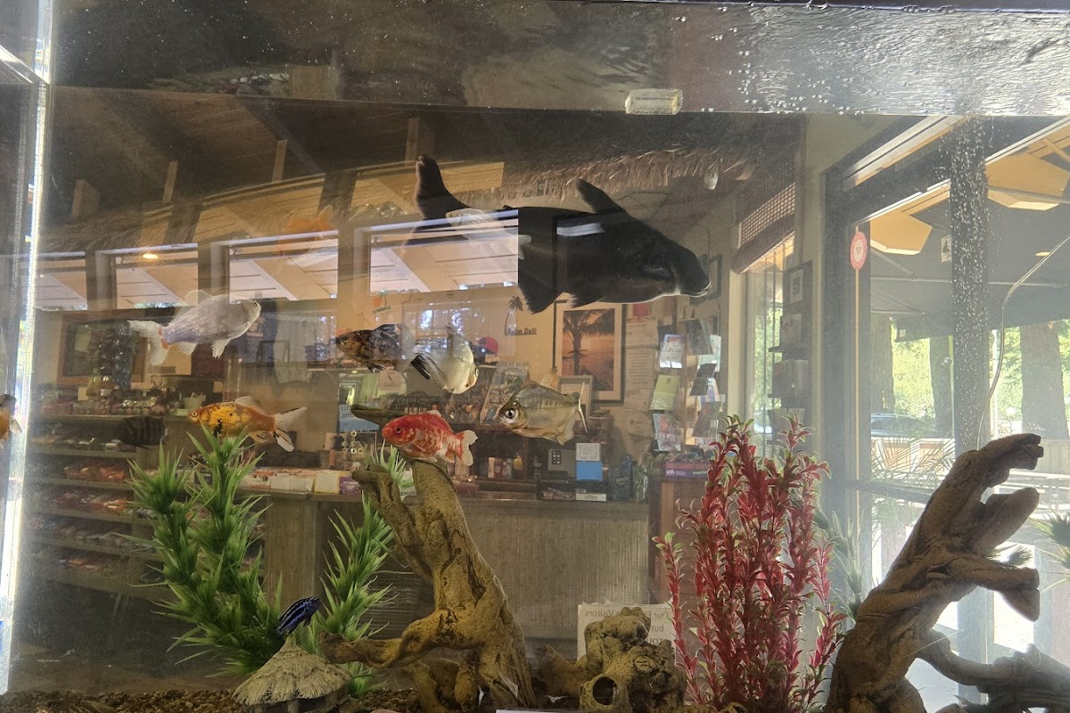 D'Anna's Deli