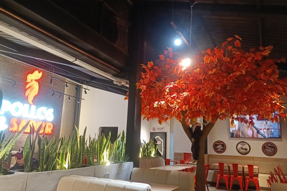 Pollo Adorado, Sogamoso