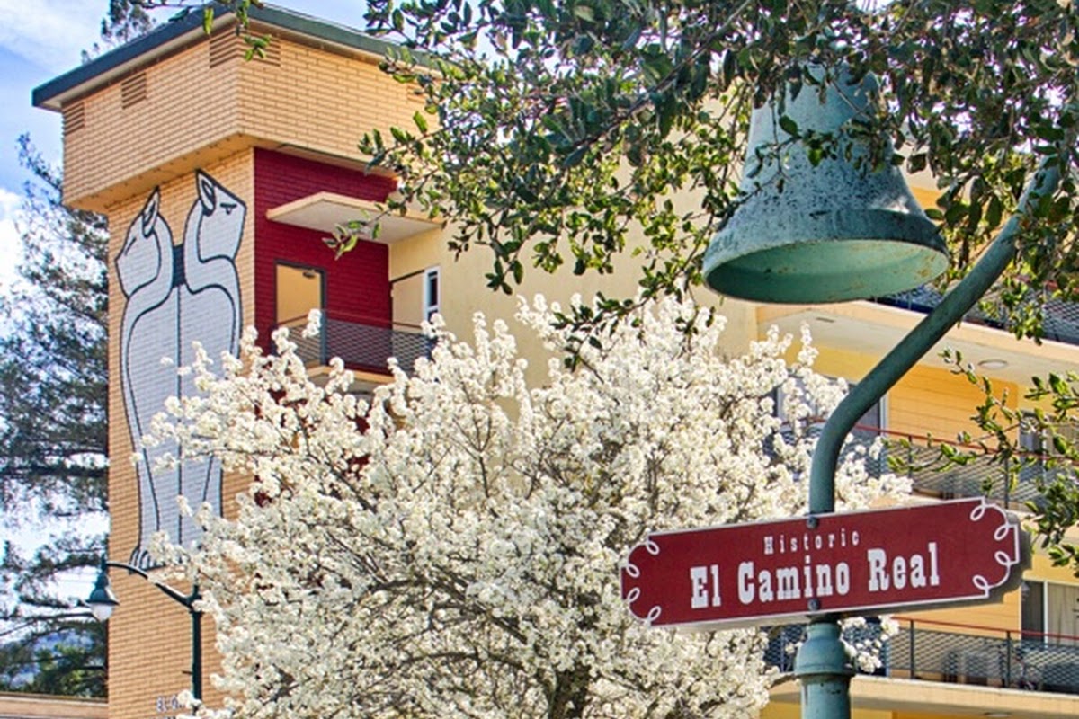 Purple Onion Cafe