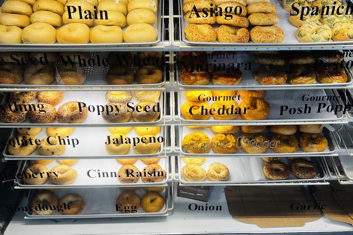 The Posh Bagel