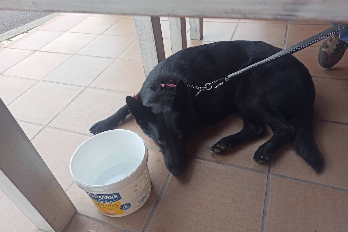 Castru El Gaiteru