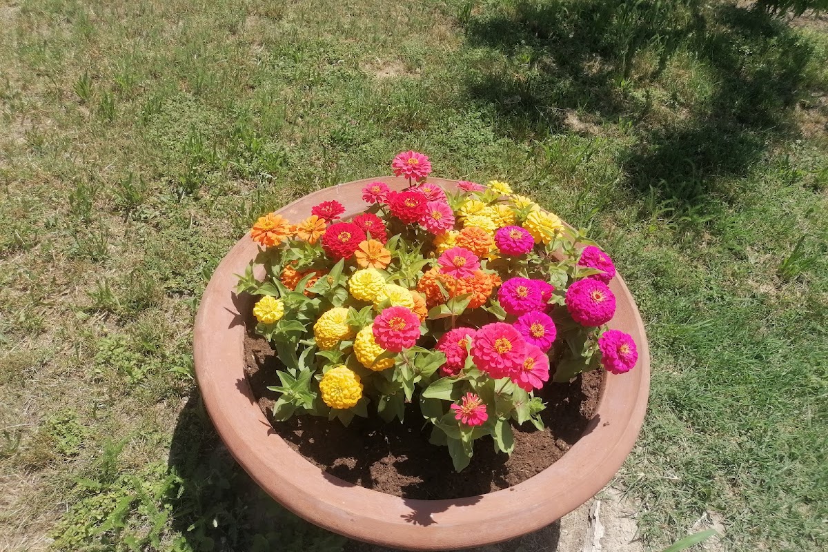 Agriturismo Bricco Gallo