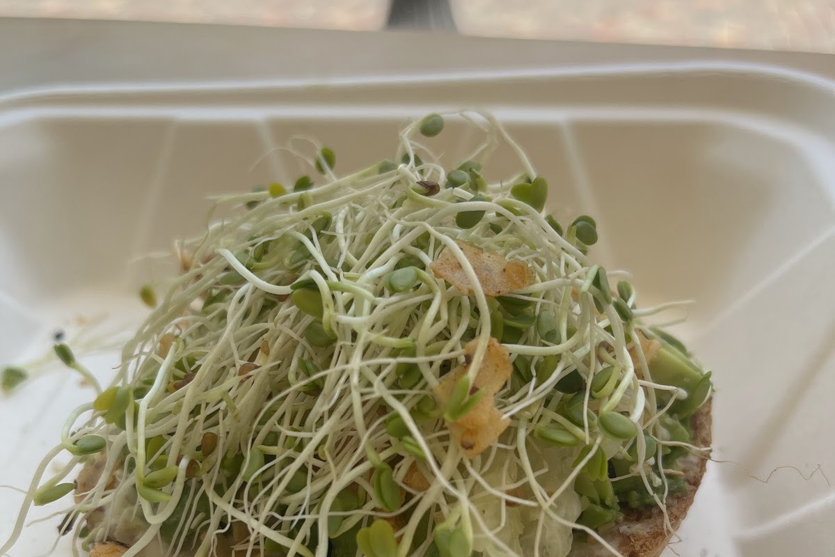 Sprouts Cafe