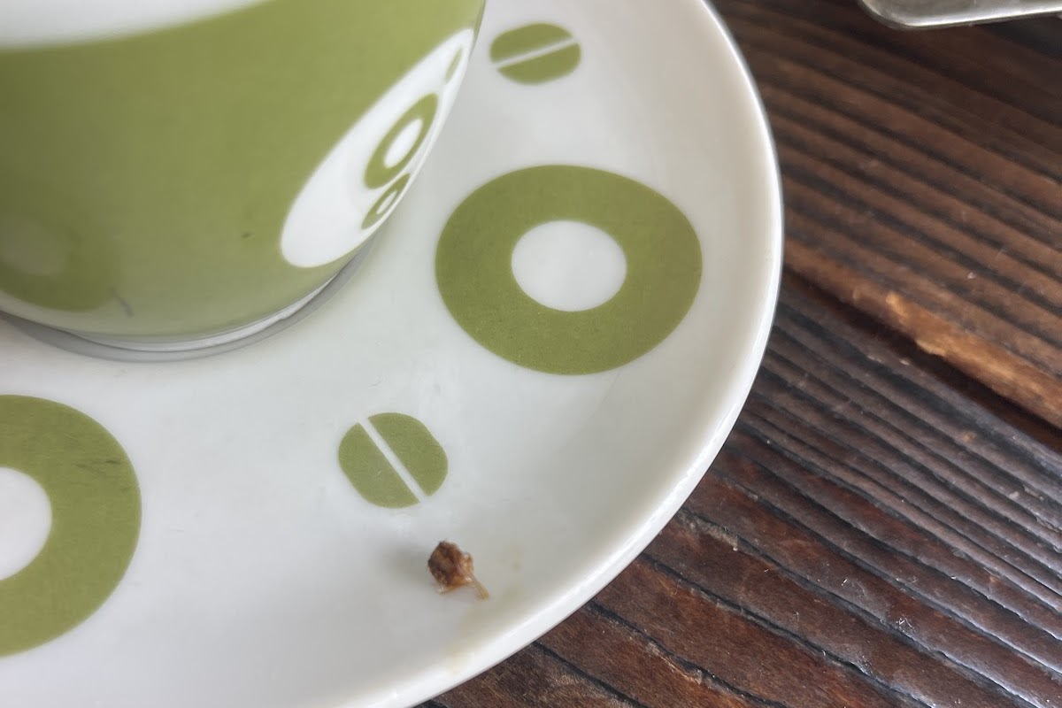 Caffè Sociale