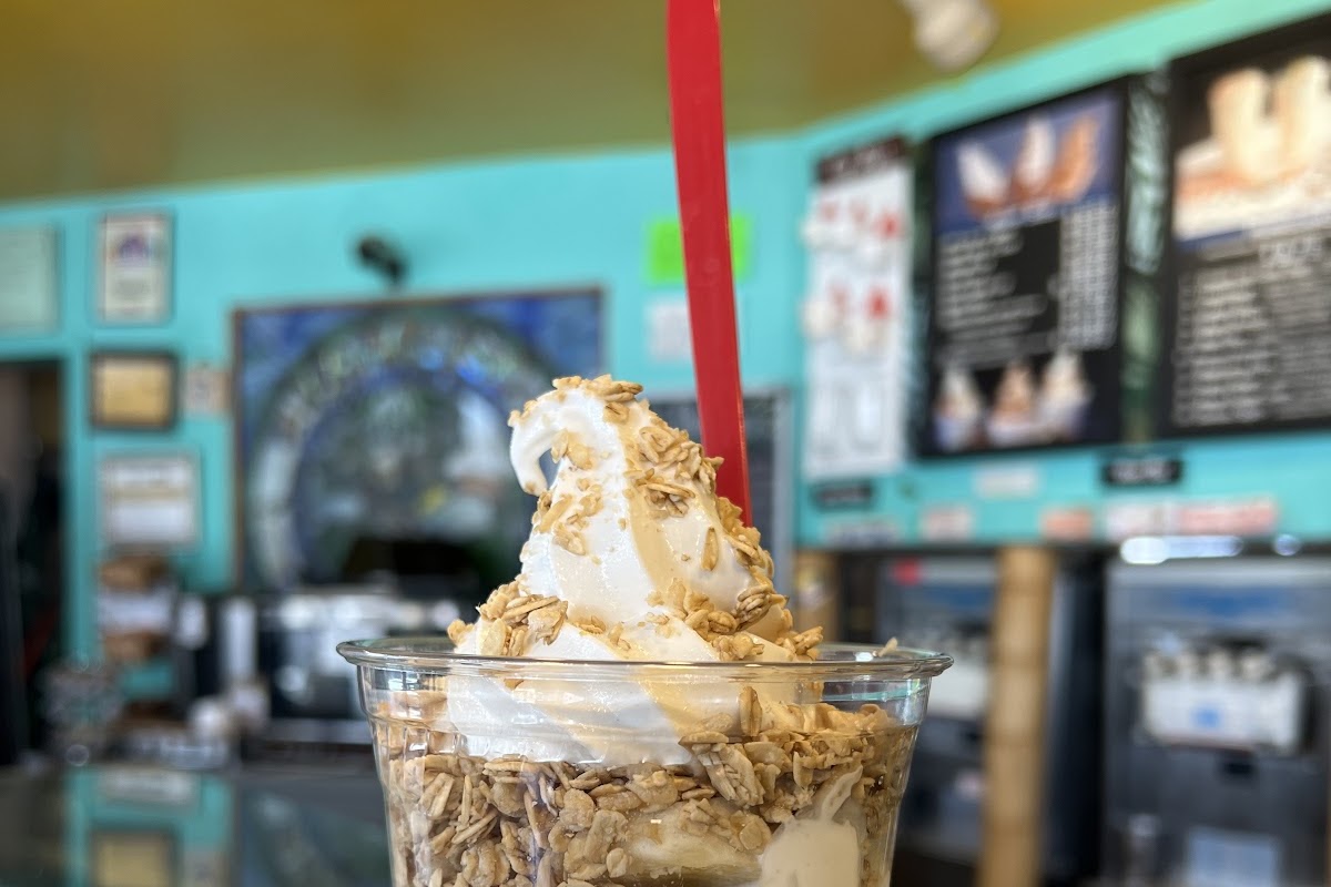 Paradise Yogurt