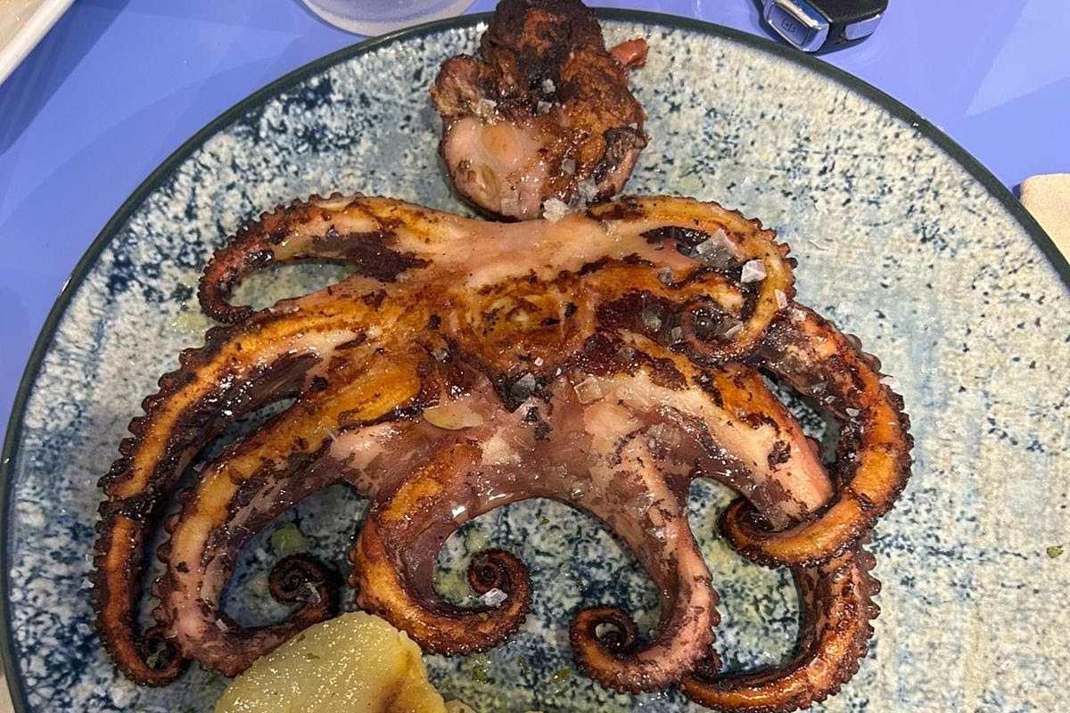 El Rey de la gamba
