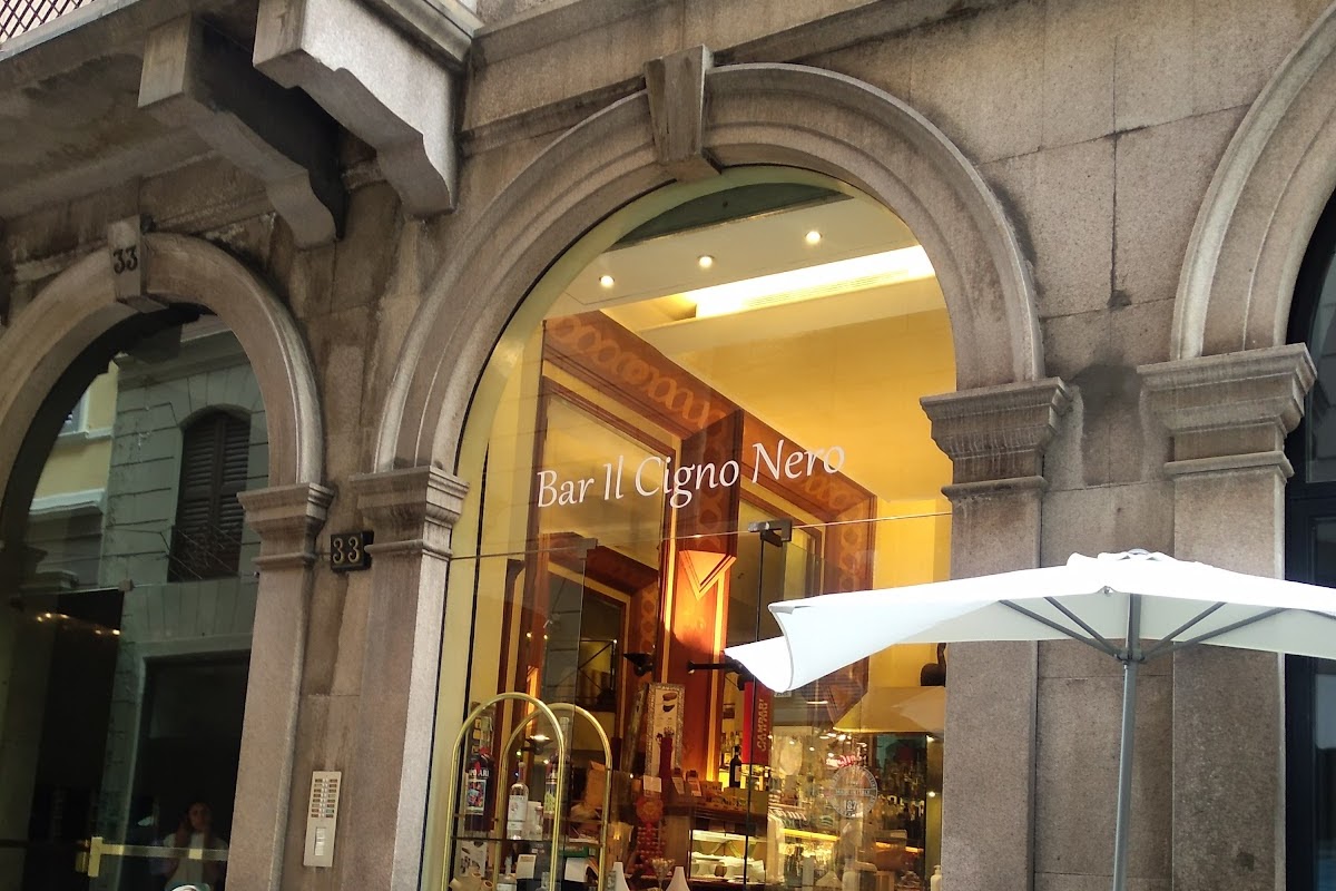 Il Cigno Nero