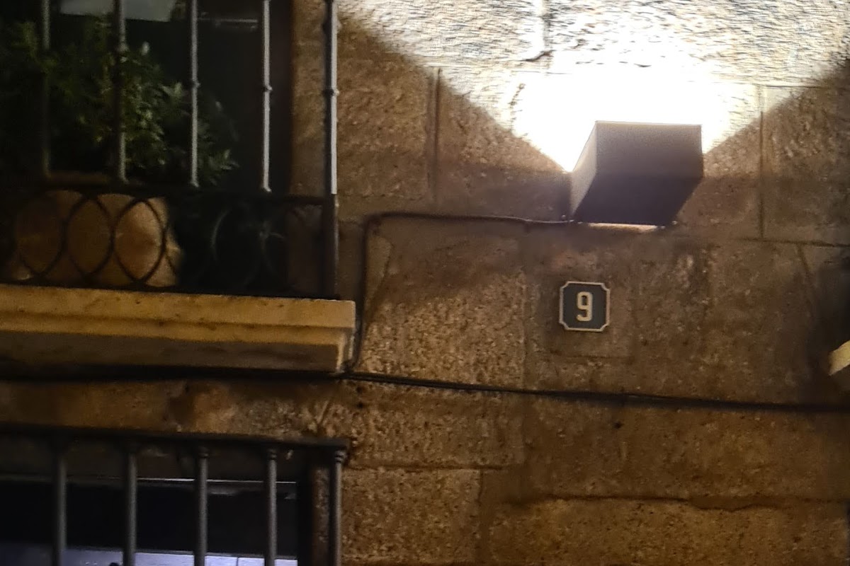 Vinomio Bar & Botánico