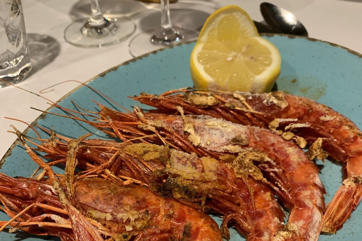 Taberna Moderna