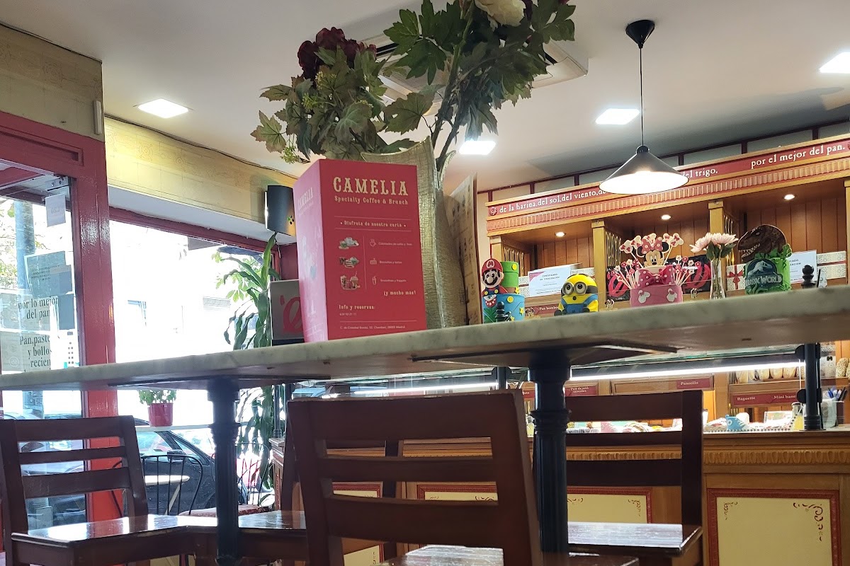 Camelia