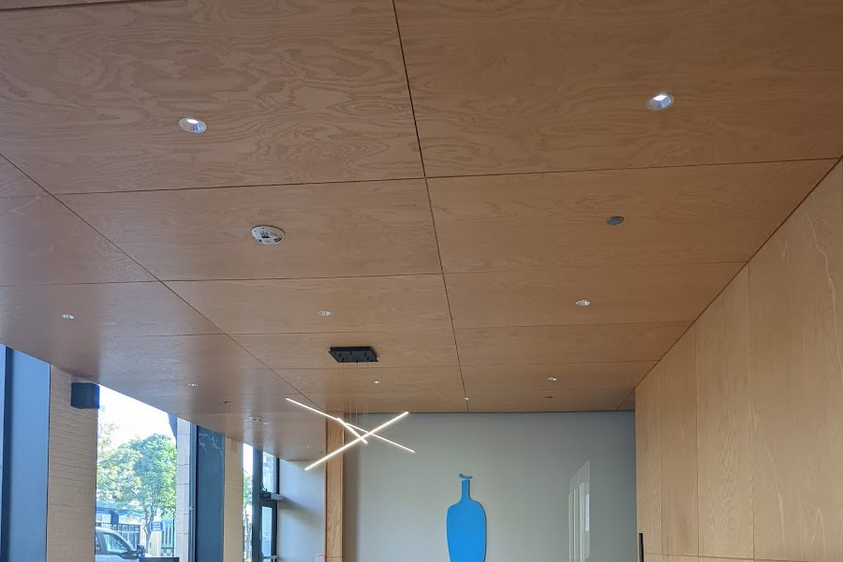 Blue Bottle Coffee, South B St, CA