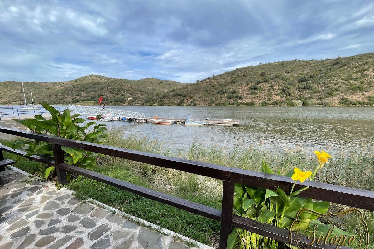 Bar do Rio