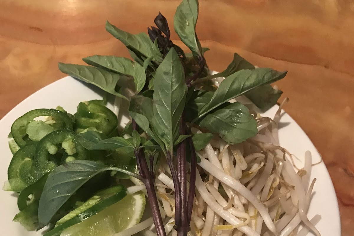 Pho of the Desert