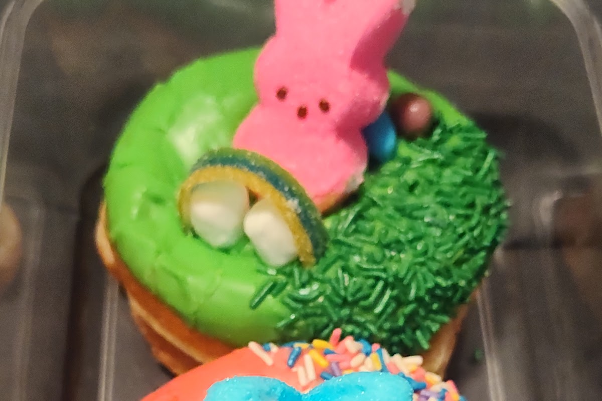 Raised Donuts