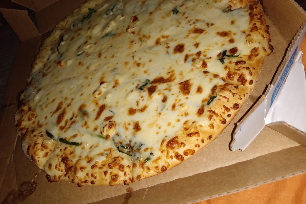 Domino's, Floresville, TX