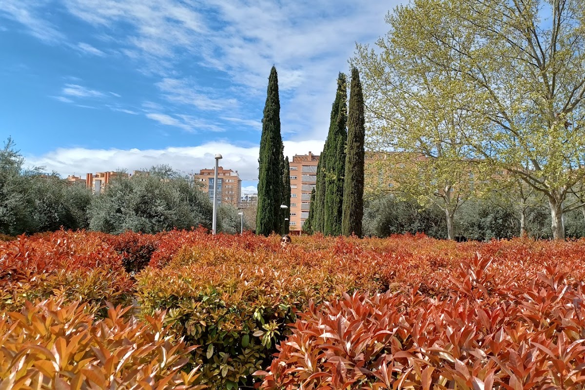 Laberinto