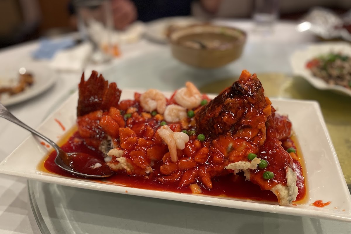 Jin Jin Gourmet, Sunnyvale, CA