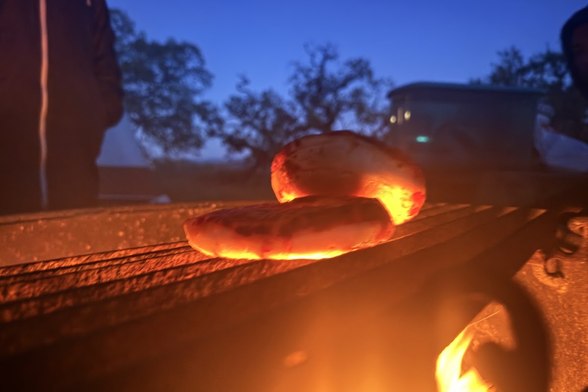 Bagel Bin
