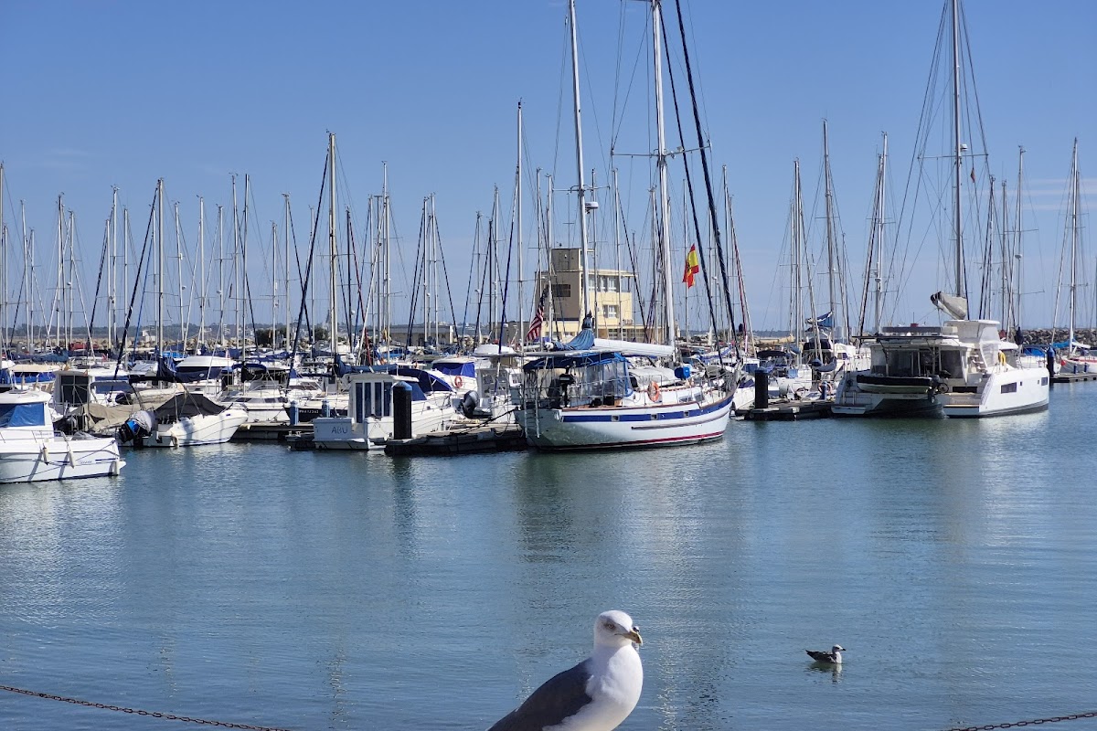 Cantina Marinera Rota