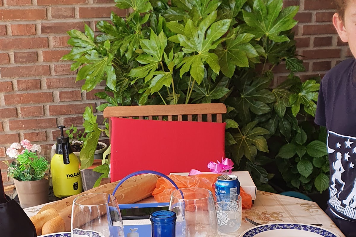 Mickey Monkey Gastrobar