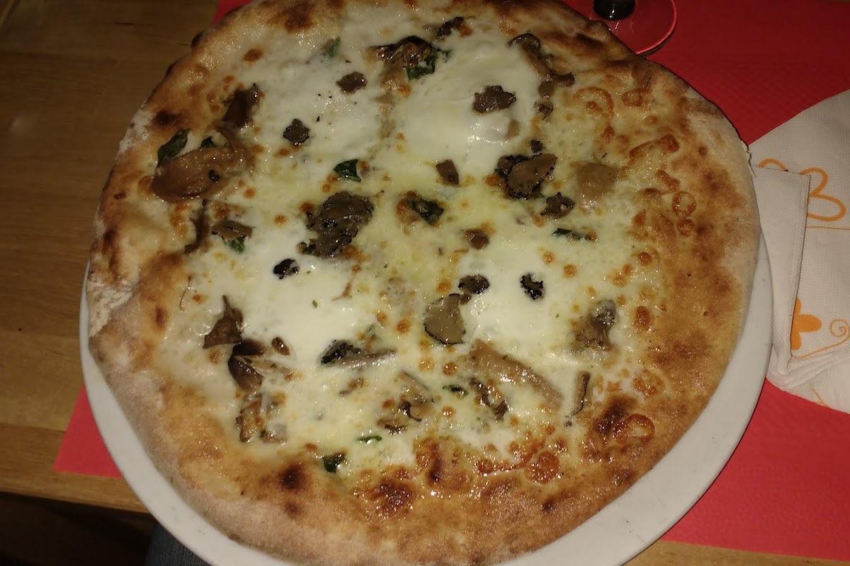La Pulcinella