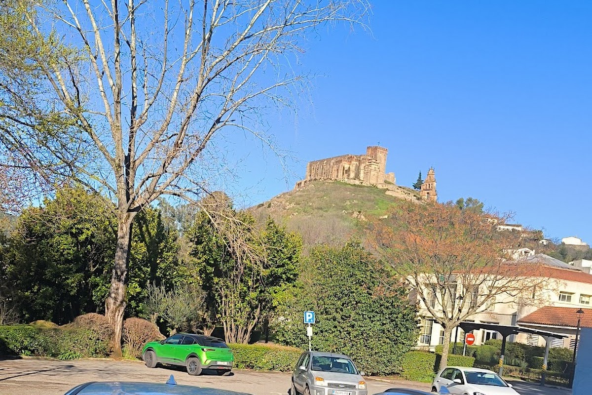 Los Olivos