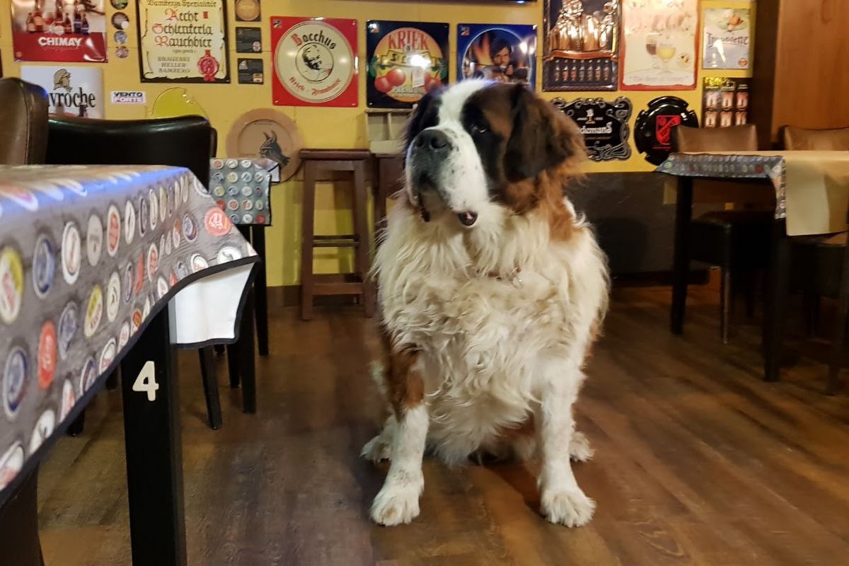 Cerveseria Tribulosi