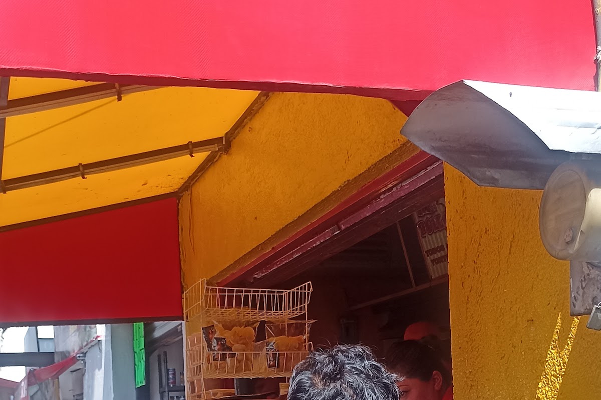 Mr. Pollo