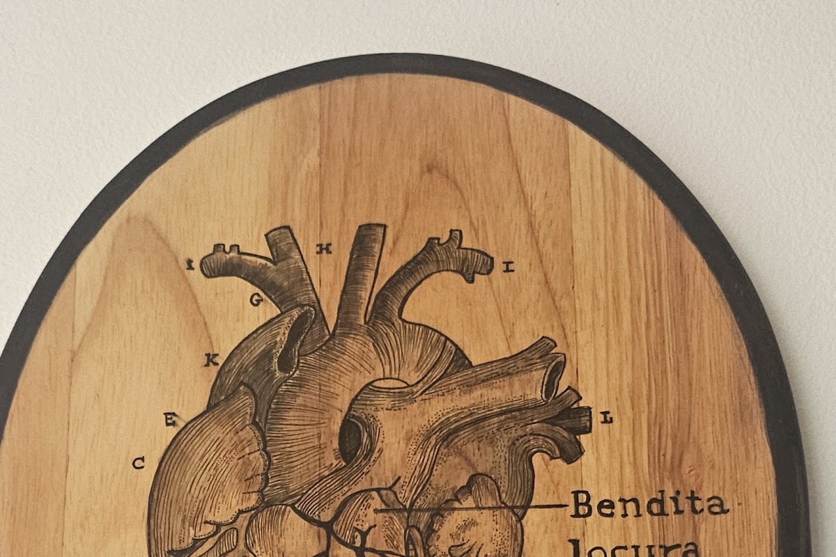 Bendita Locura