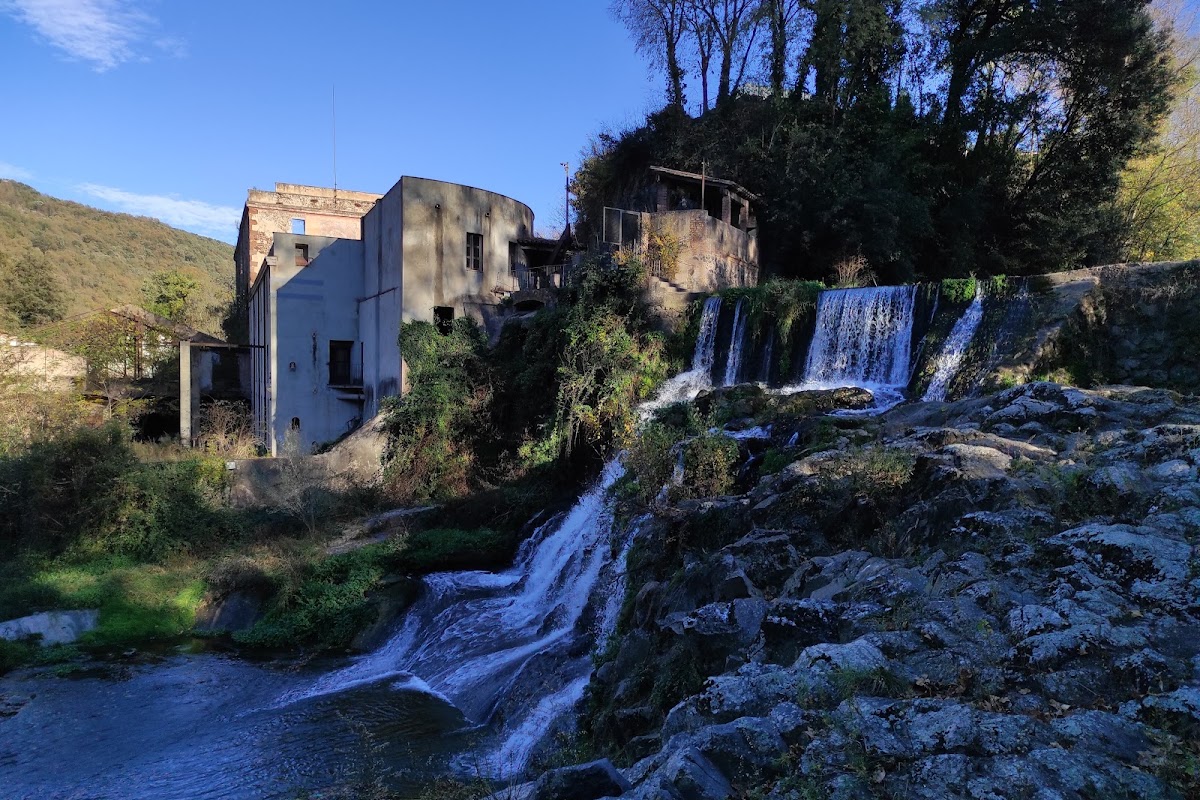 Can Falguera
