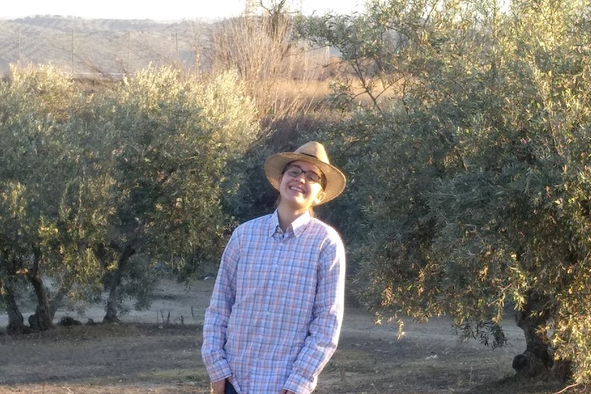 Don Bocata