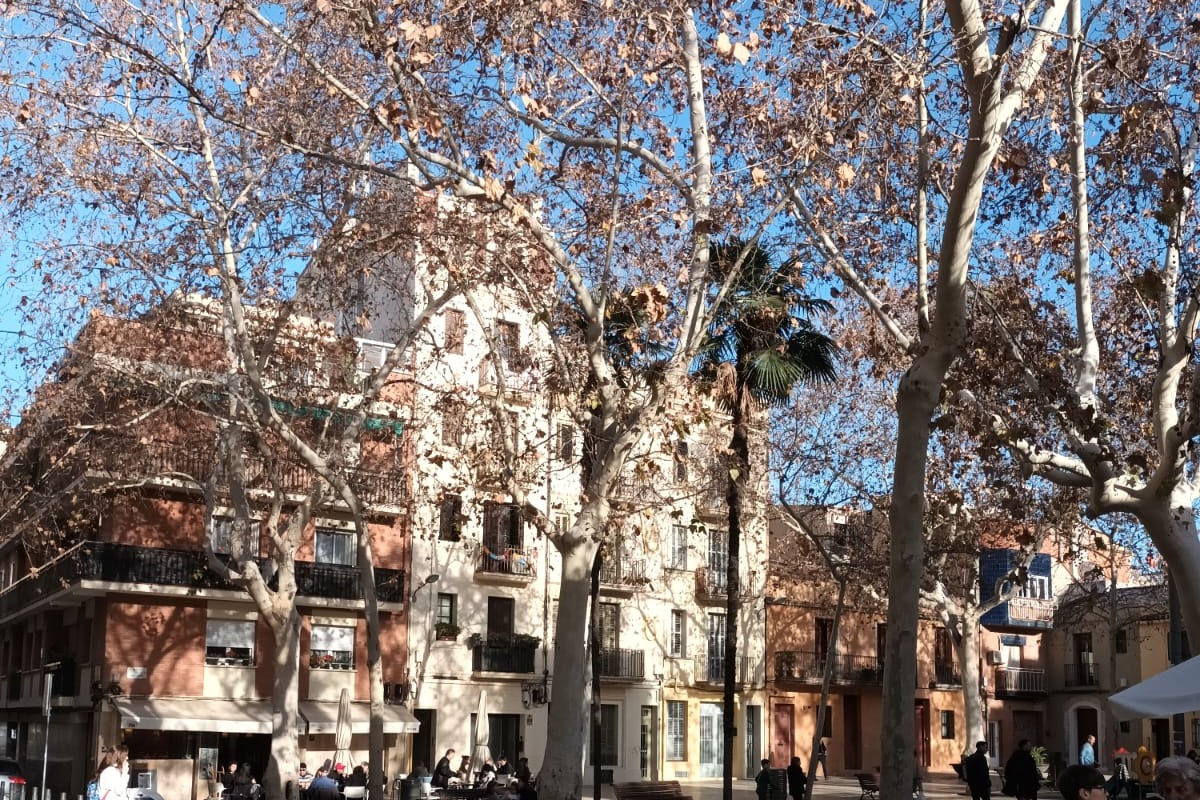 La Bacardina