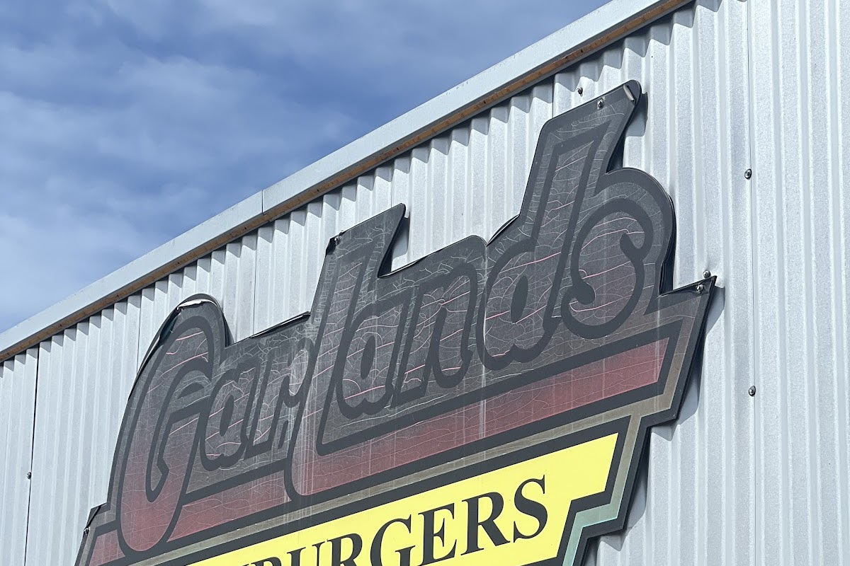 Car lands burgers