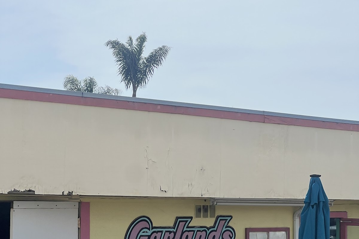 Car lands burgers